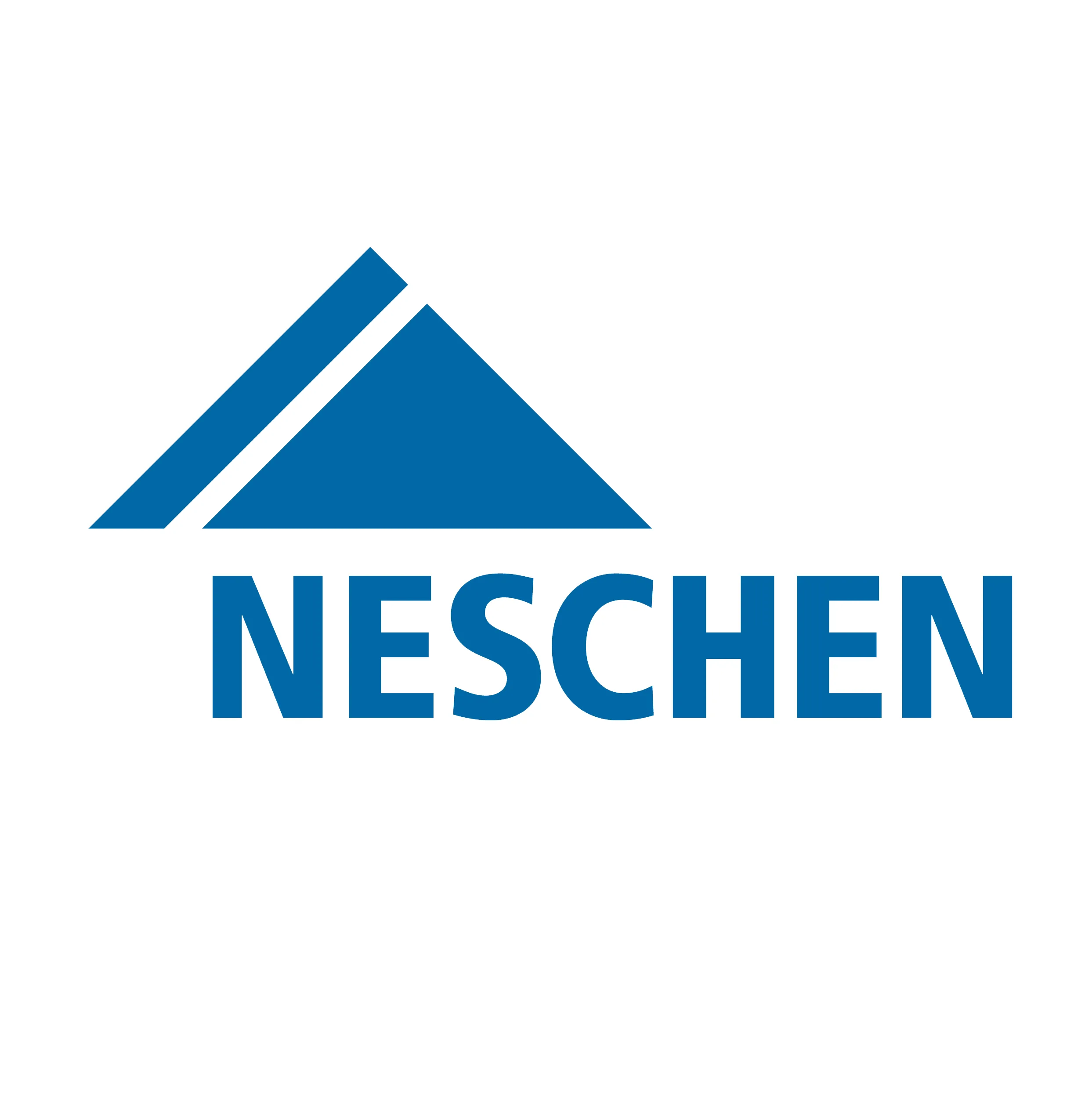 Neschen logo_result